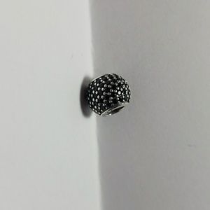 Pandora charm